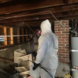 Mr. Fresh Damage Restoration