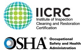 Slide of Services Squad