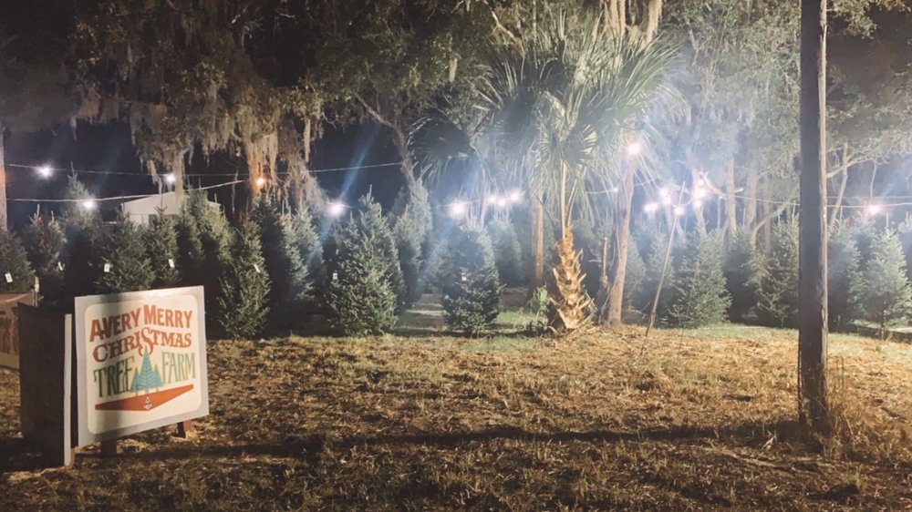 A VERY MERRY CHRISTMAS TREE FARM Updated September 2024 7119 W Gulf