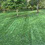 Photo of Lawn Doctor of Greater Oxford