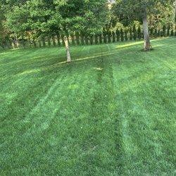 Lawn Doctor of Greater Oxford - Lawn in October