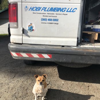 Hobi Plumbing - Abbie Doodle. - Plumbing Near Me Hobi Plumbing - Abbie Doodle. - Plumbing Near Me