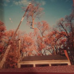 Woods & Woody's Tree Service - Mike doing a crane job