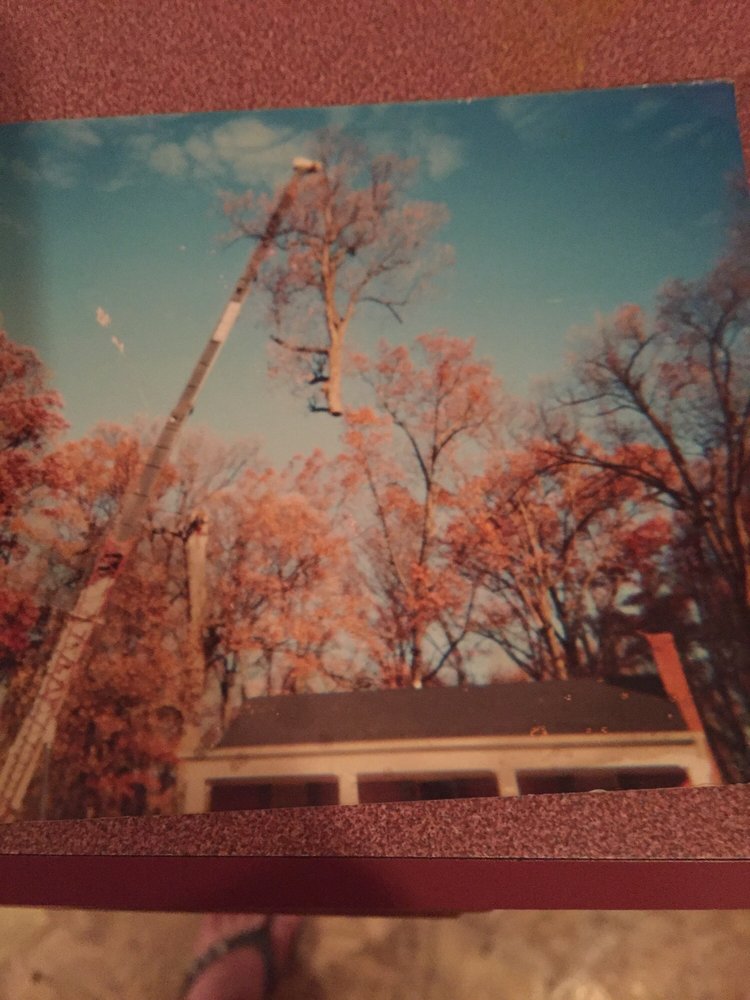 Woods & Woody's Tree Service - tree service in Memphis, TN