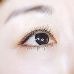 Vivi Lash Japanese Beauty - Volume lash Natural set
