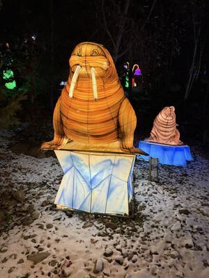 Pittsburgh Zoo & Aquarium by null