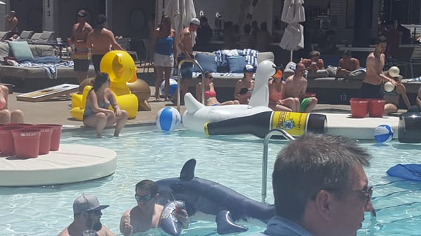 Influence, The POOL at The LINQ by null