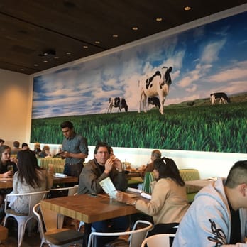 Zinburger - New American Near Me - Scottsdale, Arizona