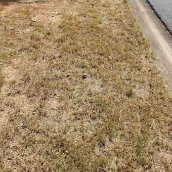 Weed Man - Pest Control Near Me - Roswell, Georgia Weed Man - Pest Control Near Me - Roswell, Georgia