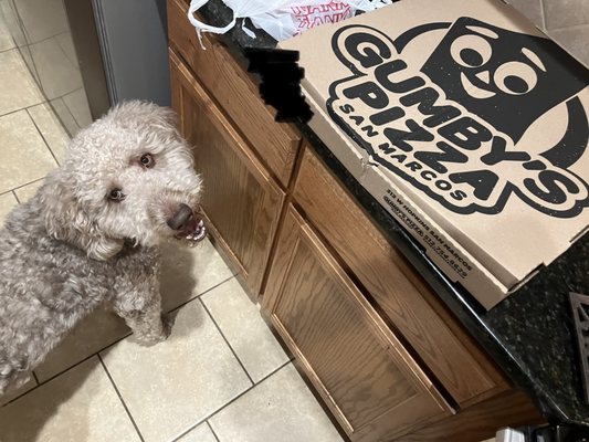 Gumby's Pizza by null