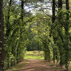 Bedrock Gardens - Gothic arch leading to the pond. Beautiful scenery.