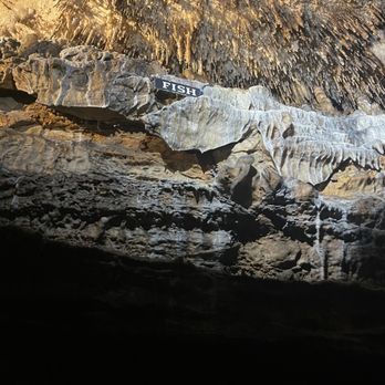 Ruby Falls - Rock formation in cave - Landmarks & Historical Buildings Near Me - Chattanooga, Tennessee