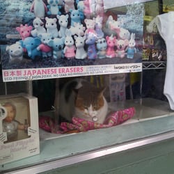 Diana's Records - Nice placement of the cat.