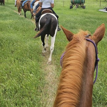 Southern Trails - Horseback Riding Near Me - Manor, Texas