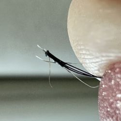 Miracle Threading & Spa - A cluster that was incorrectly glued to three natural lashes