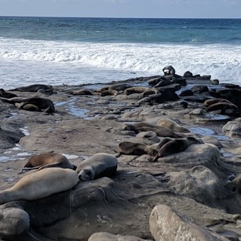 La Jolla Cove - Parks Near Me - La Jolla, California