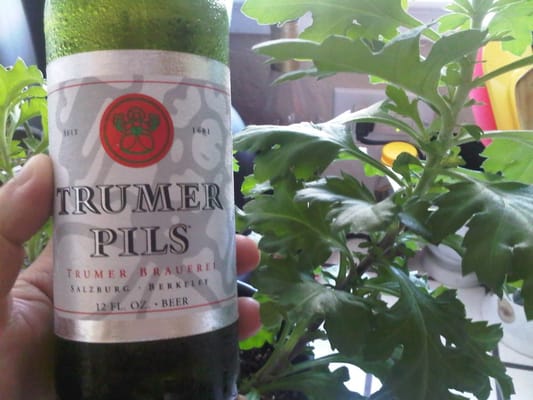 Trumer Taproom by null