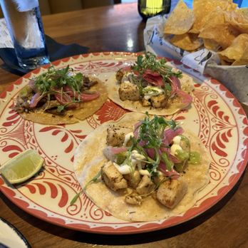 Blind Coyote Cantina - carnitas and Tony's Chicken Tacos - Mexican Near Me - Yorba Linda, California Blind Coyote Cantina - carnitas and Tony's Chicken Tacos - Mexican Near Me - Yorba Linda, California