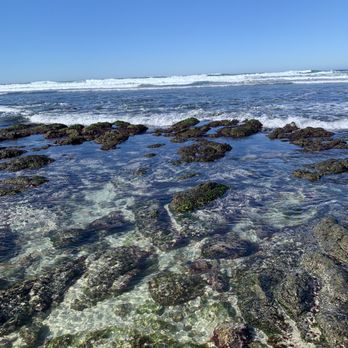 Asilomar State Beach - Beach - Parks Near Me - Pacific Grove, California Asilomar State Beach - Beach - Parks Near Me - Pacific Grove, California