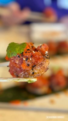 Sushi Maki - Kendall by null