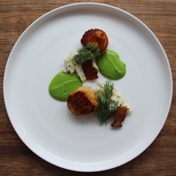 Michael Hauschild Personal Chef - Seared Scallops, Pea Puree, Bacon Lardon, Fennel and Garlic Salad
