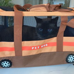 Bye bye my kitty cat. Enjoy your vacation!!