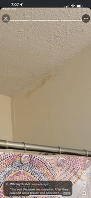 Lakeland Villa Apartments