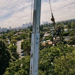 Navarro Maintenance and Tree Service - Large tree removal Mid city Los Angeles