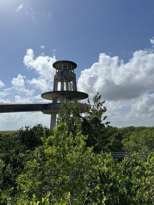 Shark Valley Tram Tours by null