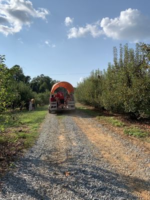 B.J. Reece Orchards by null