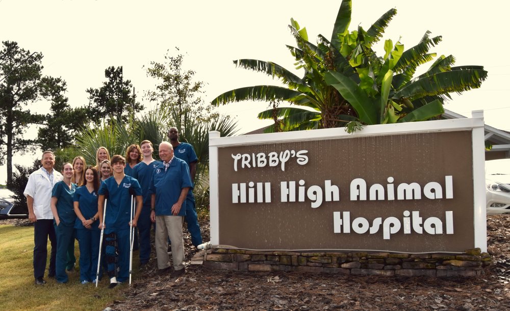 HILL HIGH ANIMAL HOSPITAL 13 Photos 4120 Wheeler Rd, Augusta