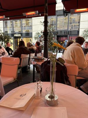 Zum Schwarzen Kameel by null