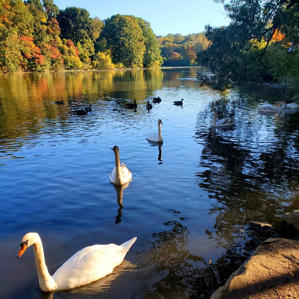 Van Cortlandt Park  - The fam is here - (10/24/2021) - Parks Near Me - Bronx, New York