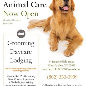 Heatherfield Animal Care - Pet Sitting Near Me - Vershire, Vermont Heatherfield Animal Care - Pet Sitting Near Me - Vershire, Vermont