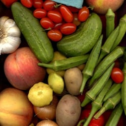 Ida & Sal Produce & Nursery