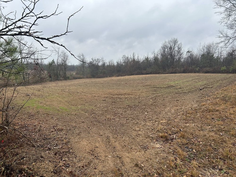 Social spots from Green Farms