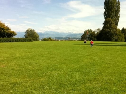 PARK IM GRÜENE DUTTIPARK - Updated May 2024 - 10 Photos - Alsenstrasse ...