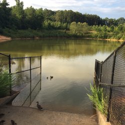 Please do not feed the ducks with your shitty food.