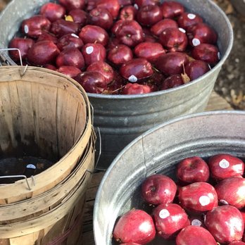 Willowbrook Apple Farm - Pick Your Own Farms Near Me - Oak Glen, California