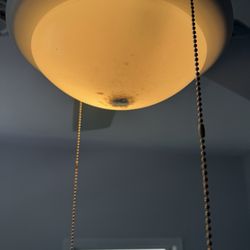 Kathy's Cleaning - Light globes not touched