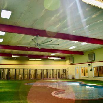Pet Paradise Tallahassee - Pet Training Near Me - Tallahassee, Florida Pet Paradise Tallahassee - Pet Training Near Me - Tallahassee, Florida