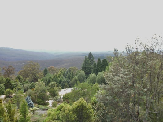 Blue Mountains Botanic Garden Mount Tomah by null