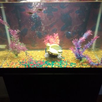 Petco - Alive and well - Pet Stores Near Me - Westminster, California Petco - Alive and well - Pet Stores Near Me - Westminster, California