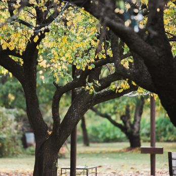 White Ranch - Venues & Event Spaces Near Me - Chico, California