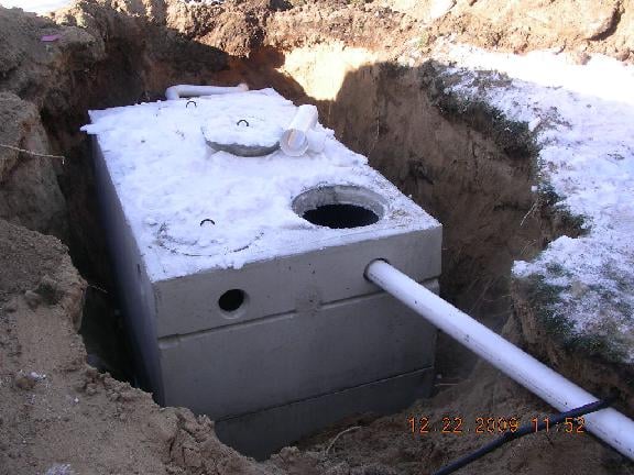 Slide of A Bee Septic