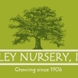 Easley Nursery - Easley Nursery
