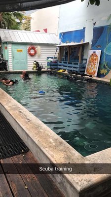 Captain's Corner Dive Center by null