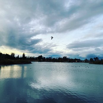 Almaden Lake Park - Almaden Lake - Parks Near Me - San Jose, California