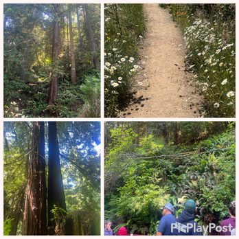 Skunk Train - Tours Near Me - Fort Bragg, California Skunk Train - Tours Near Me - Fort Bragg, California