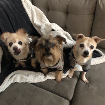 Three Dog Bakery - Pet Stores Near Me - Las Vegas, Nevada Three Dog Bakery - Pet Stores Near Me - Las Vegas, Nevada